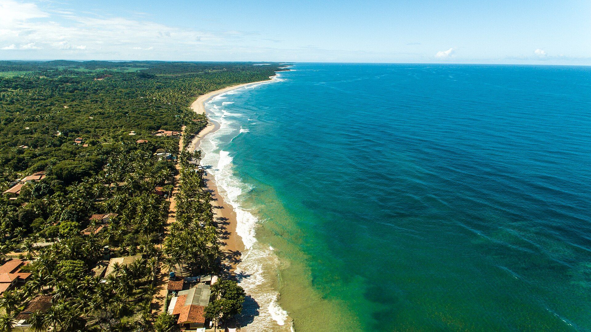 Vista aérea da Praia de Algodões, com coqueiral e mar azul