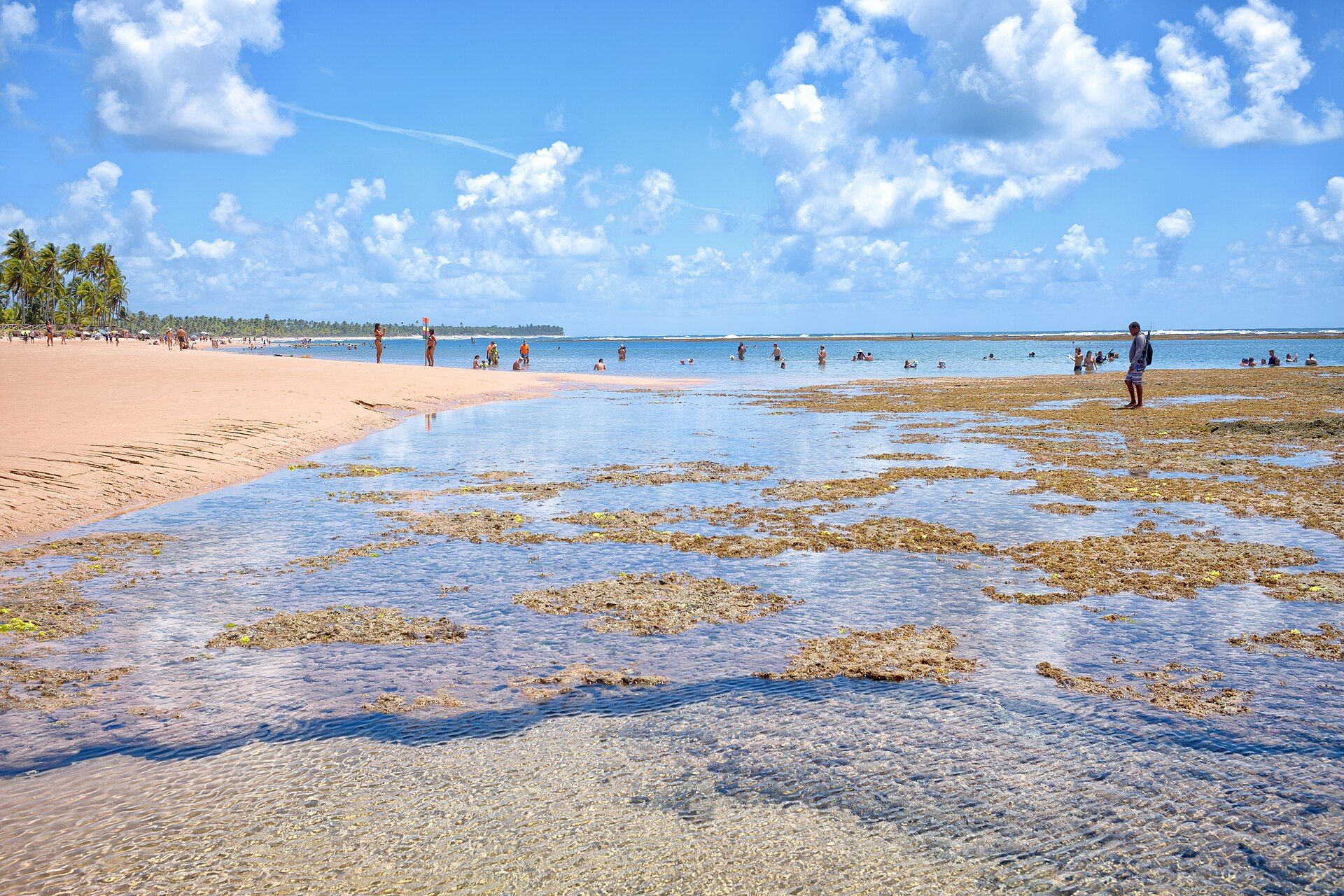 Recifes à mostra na maré baixa em Taipu de Fora, formando piscinas de água clara