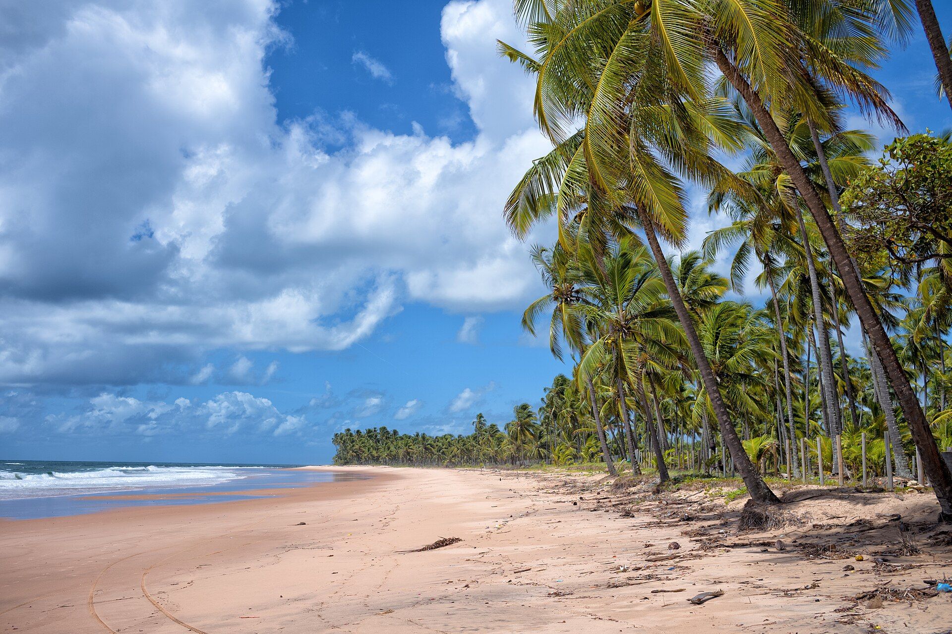 Praia de Taipu de Fora com o coqueiral chegando até a areia